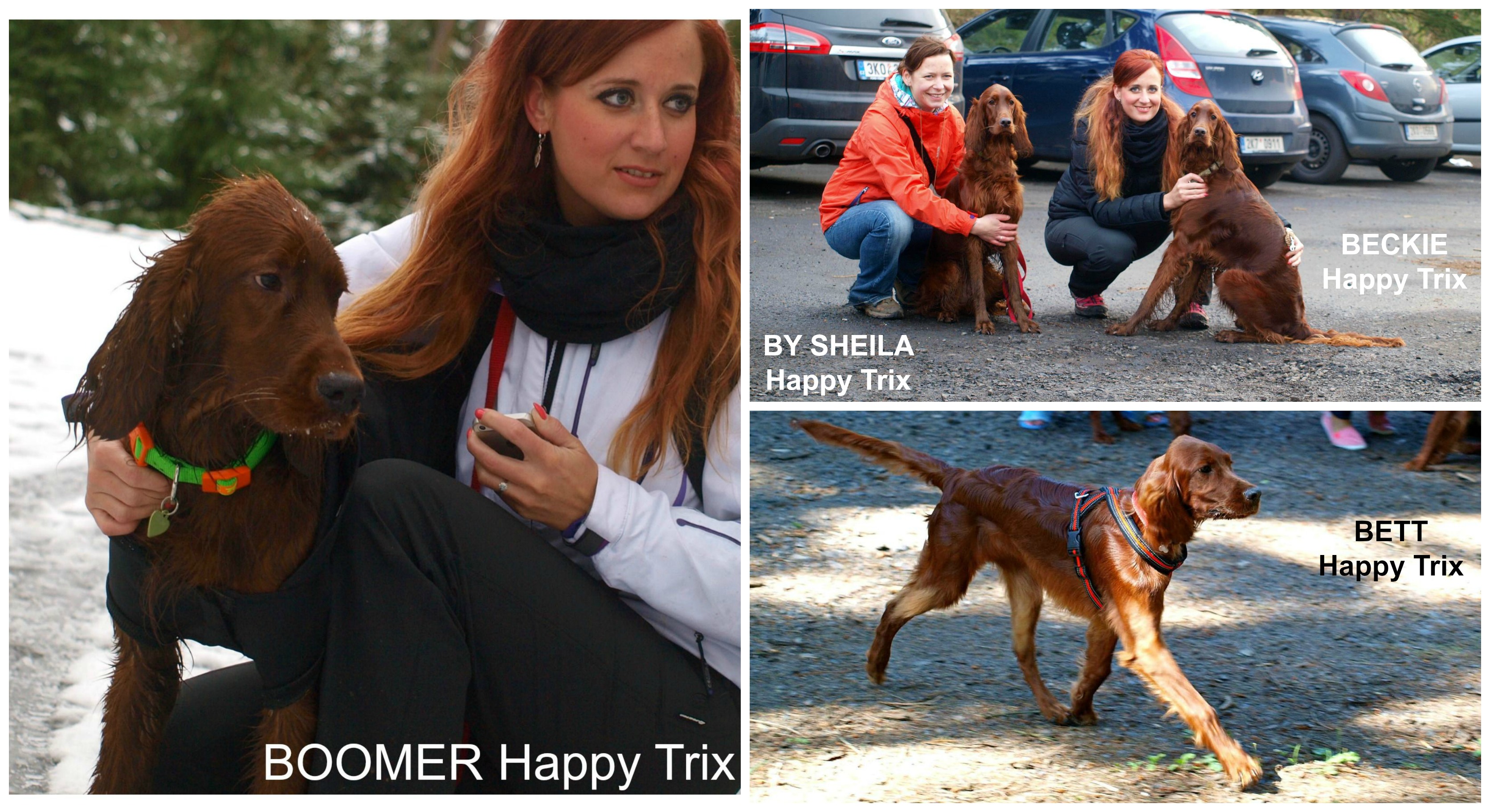 Happy Trix - Beckie, Bett, By Sheila, Boomer