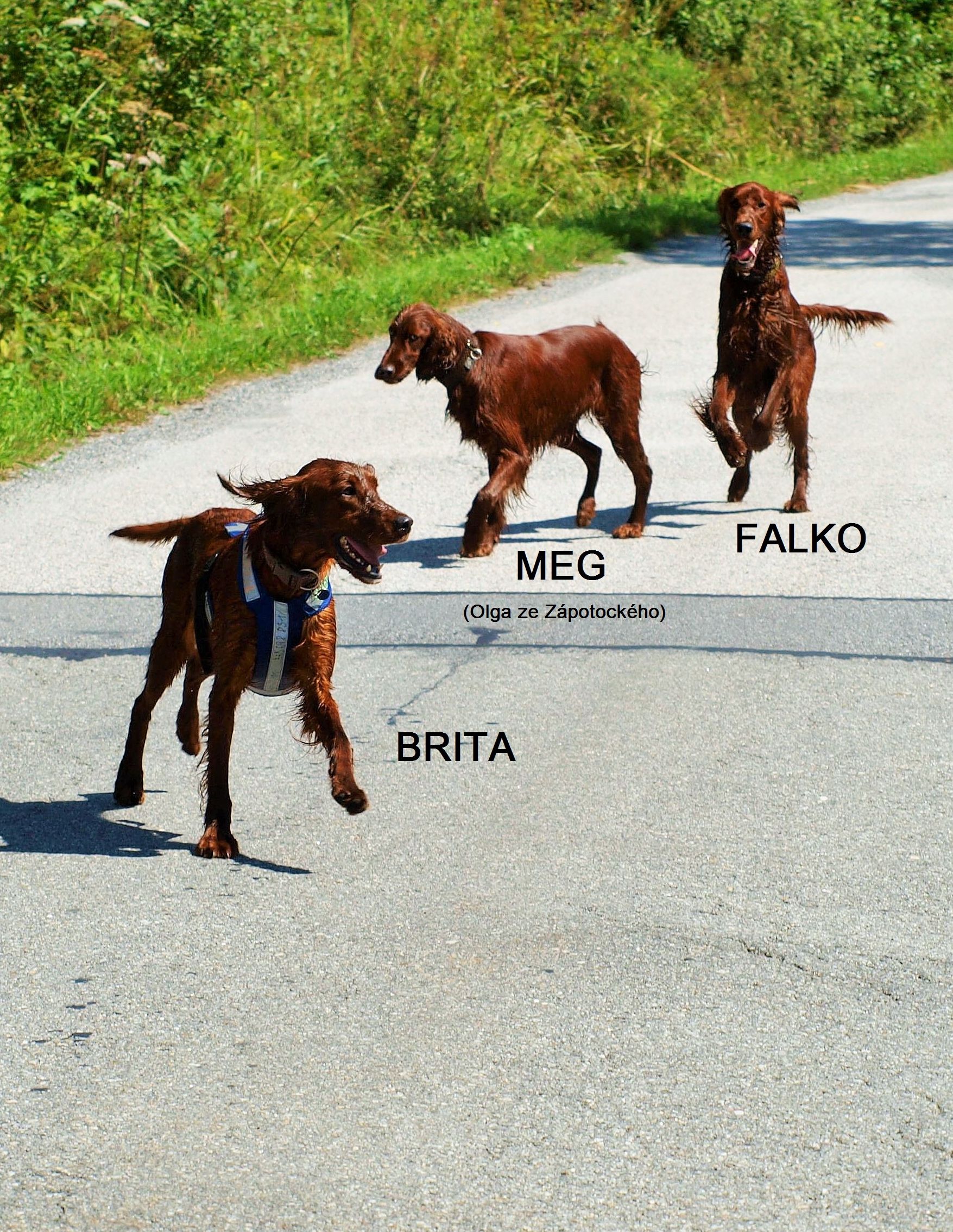 Brita, Meg, Falkox